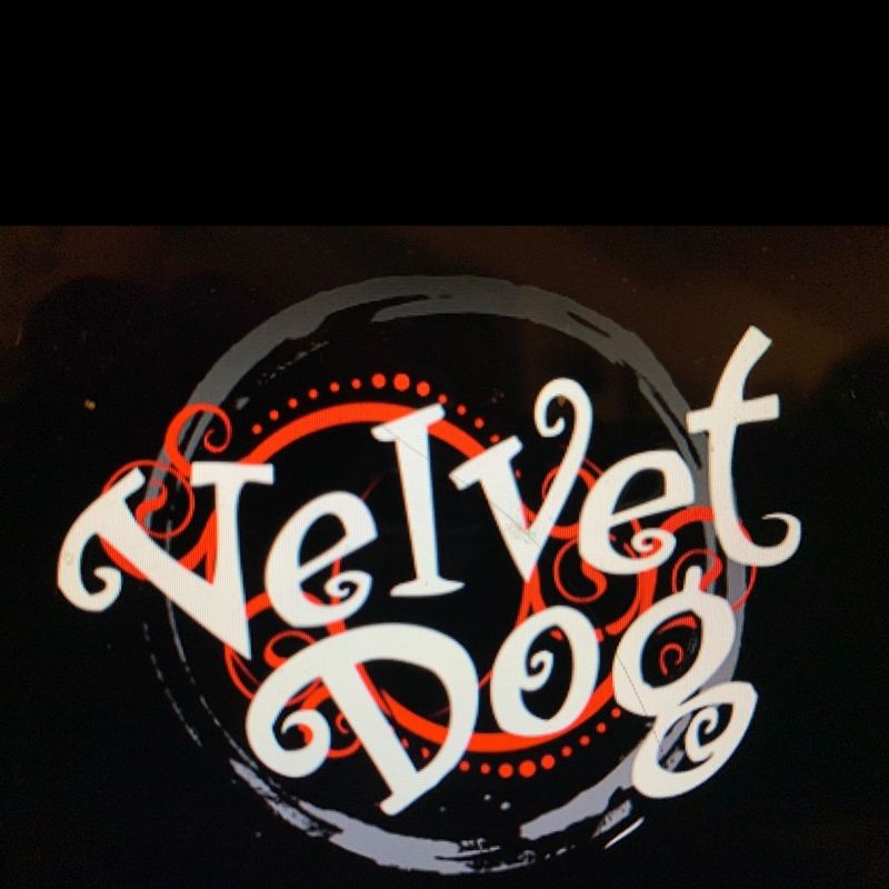 The Velvet Dog 